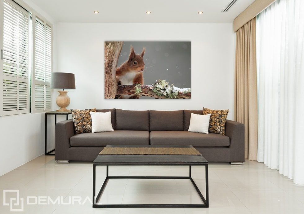 Zauberhaftes Eichhörnchen Posters für Wohnzimmer Posters Demural
