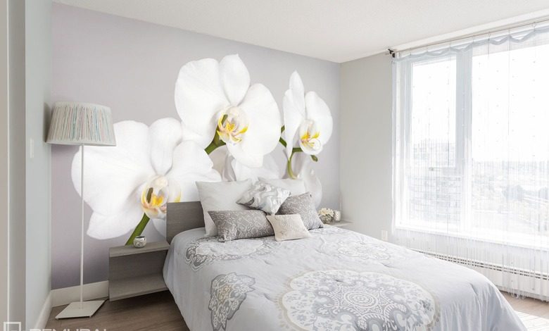 das weiss und eine schone orchidee fototapeten blumen fototapeten demural