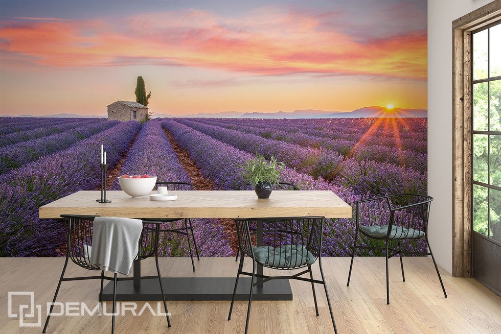Lavendelfeld bis zum Horizont Fototapeten Provence Fototapeten Demural