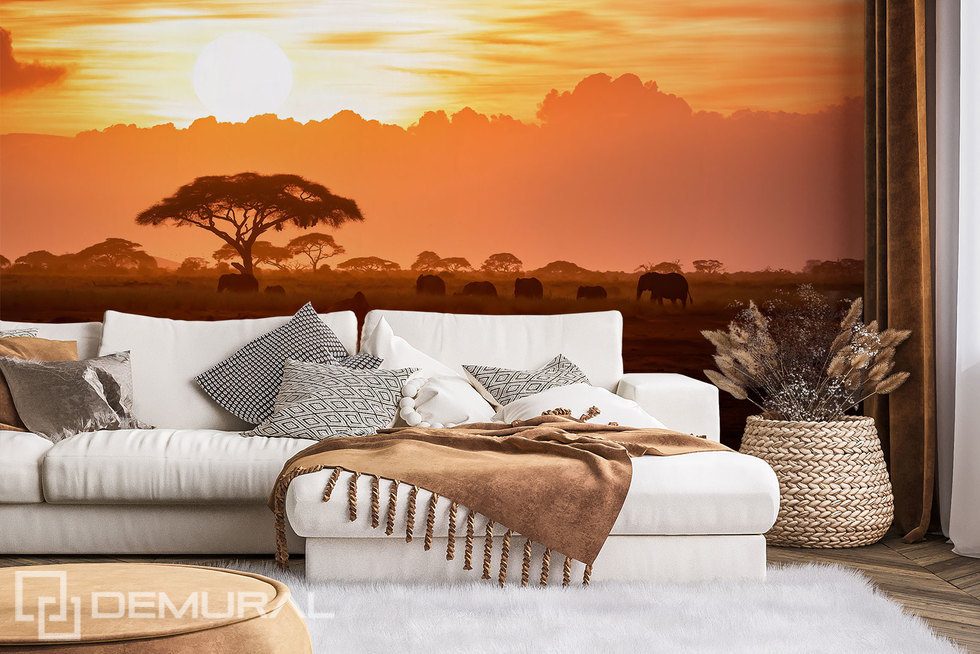 Afrikanischer Sonnenuntergang Fototapeten Sonnenuntergang Fototapeten Demural